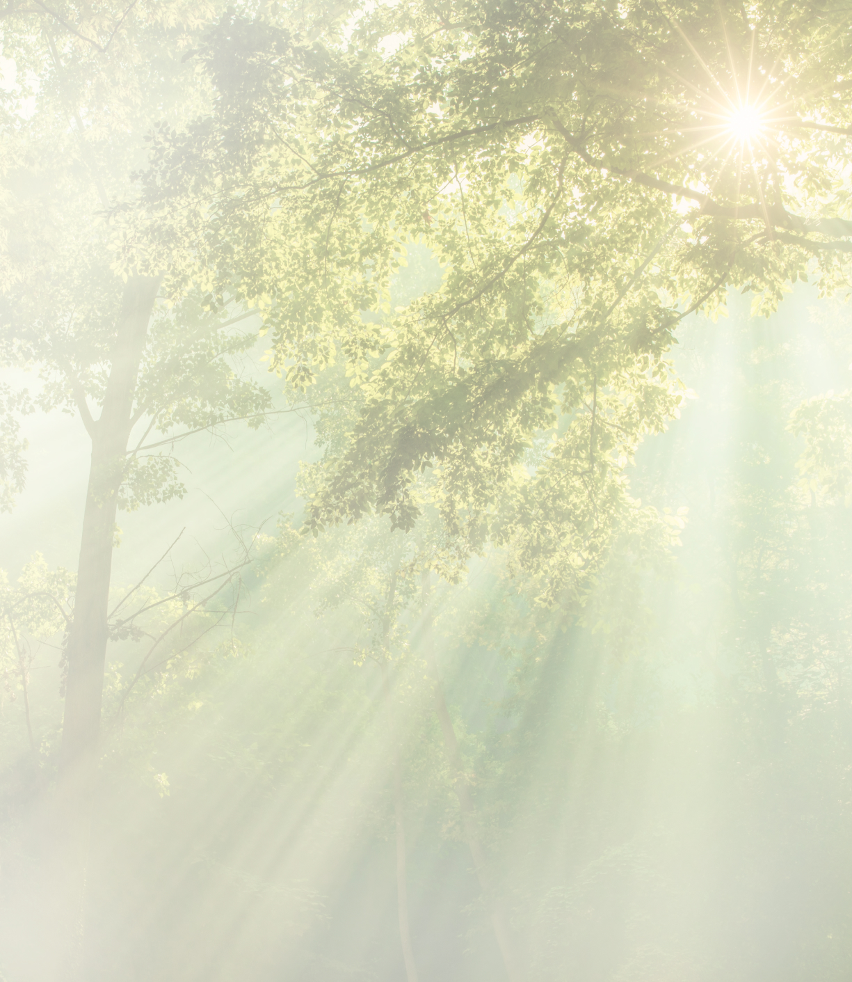 Hintergrundbild Todesanzeige